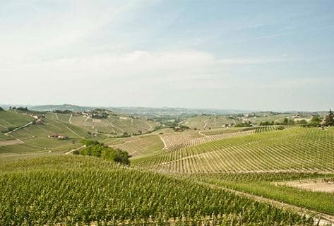 Sottimano - 4
