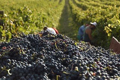 Sylvain Pataille - 3