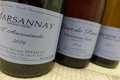 Sylvain Pataille - 4