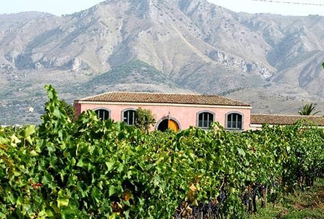 Foto della tenuta - Tenuta delle Terre Nere