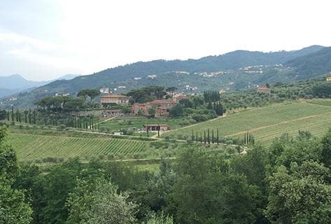 Tenuta di Valgiano - 3