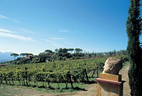 Tenuta di Valgiano - 4