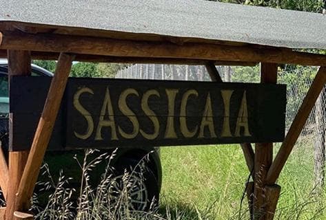 Tenuta San Guido - 2