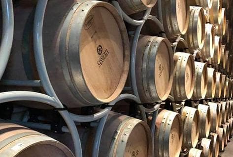 Tenuta San Guido - 3