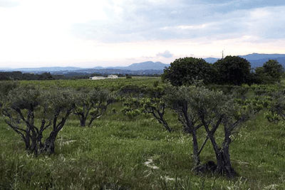 Terrasse d'Elise - 2