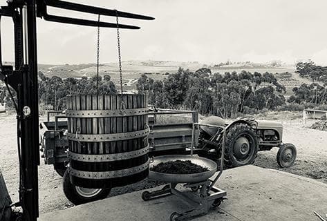 The Sadie Family - 2