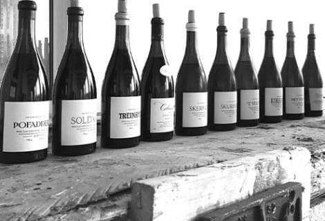 The Sadie Family - 4