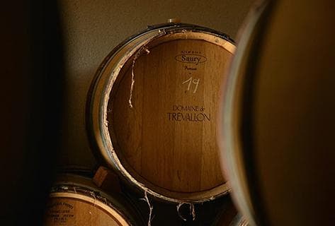 Foto della tenuta - Trévallon