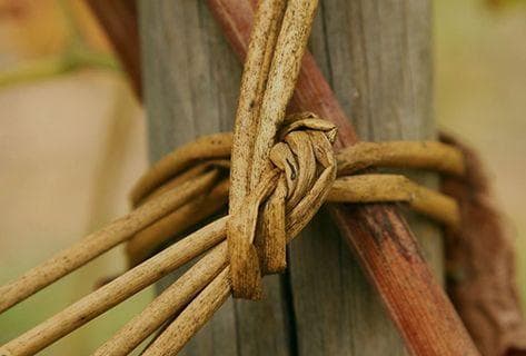 Photo of partner producer Tunnel