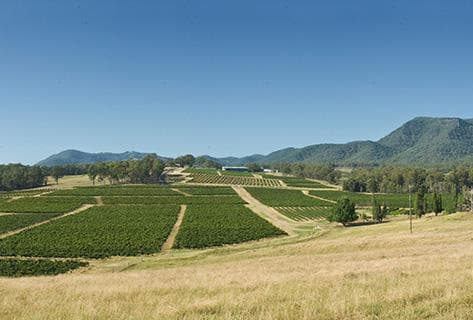 Foto des Partnerweinguts Tyrrell's Wines