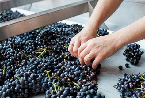 Valentin Zusslin - 3