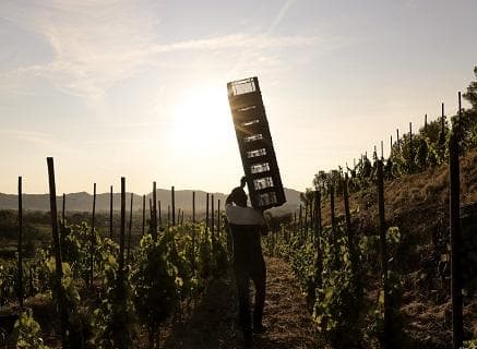 Venus La Universal - 3