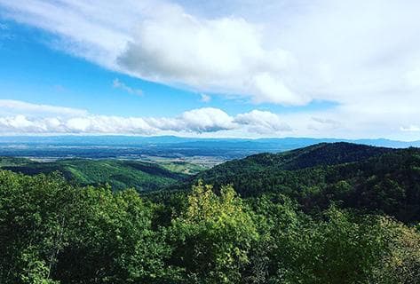 Vignoble du Rêveur - 3