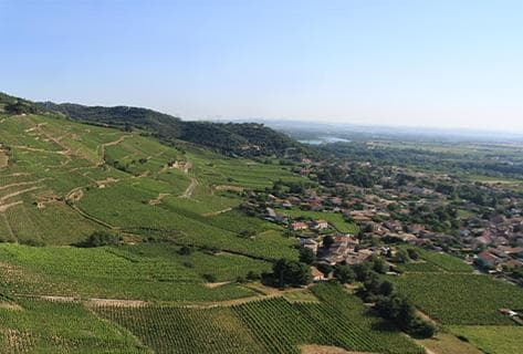 Foto della tenuta - Vincent Paris