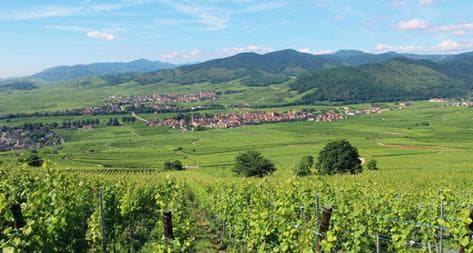 Photo principale du domaine