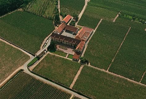 Foto della tenuta - Weinbach