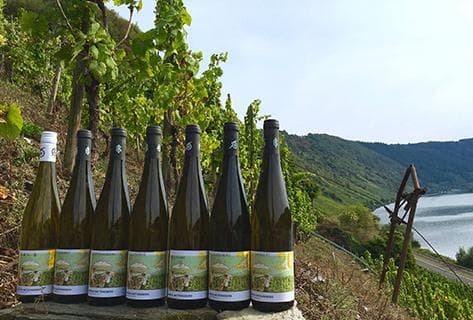 Weingut Batterieberg - 1