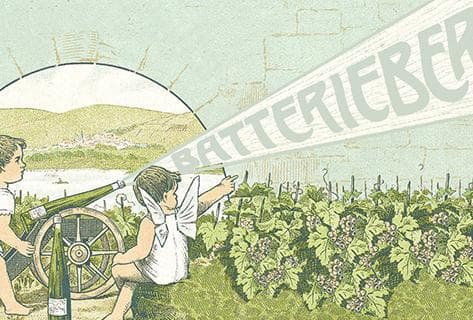 Weingut Batterieberg - 4