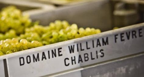 Photo principale du domaine