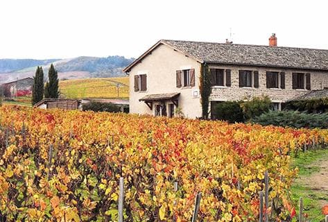 Foto della tenuta - Yann Bertrand