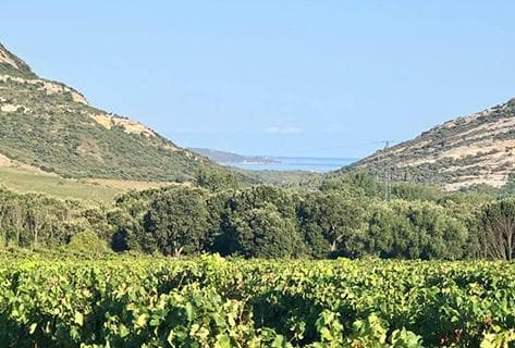 Foto della tenuta - Yves Leccia