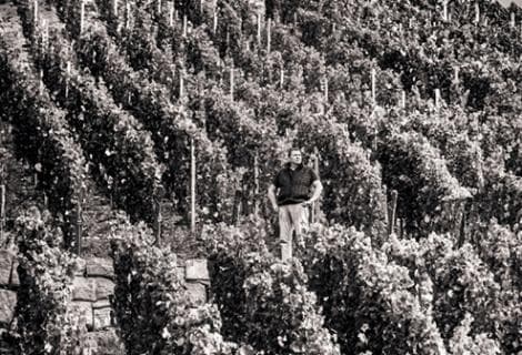 Zind-Humbrecht - 4