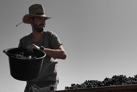 Foto della tenuta - Antoine Sunier