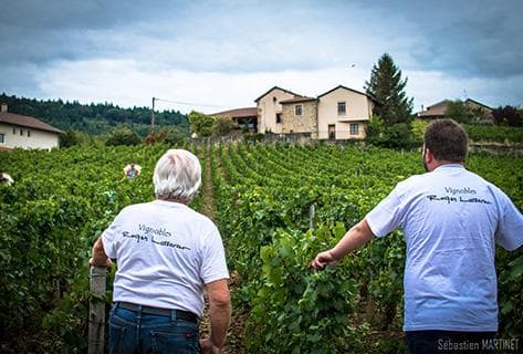 Photo of partner producer Domaine Lassarat