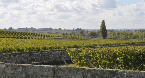 Château Croix Mouton - 2