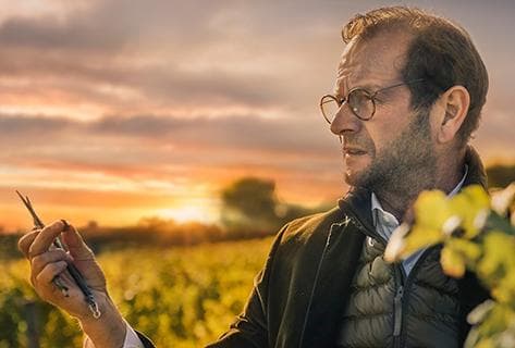 Foto della tenuta - Château d'Yquem