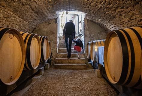 Domaine Briotet d'Aprigny - 2