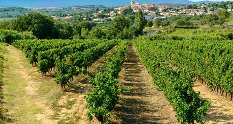 Photo principale du domaine