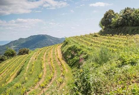 Ferme Saint-Martin - 4