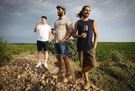 Foto des Partnerweinguts Mayard (Domaine)