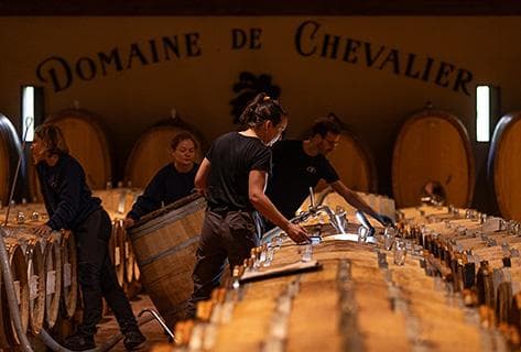 Domaine De Chevalier - 3