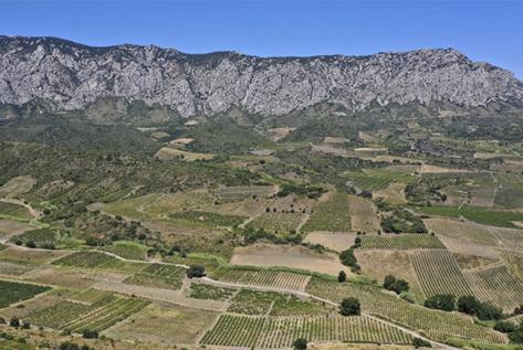 Photo principale du domaine