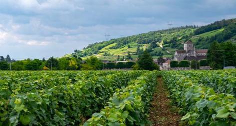 Photo principale du domaine