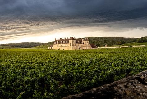 Domaine Georges Mugneret-Gibourg - 2