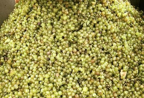 AMI (Willy Roulendes et Paul Perarnau) - 2