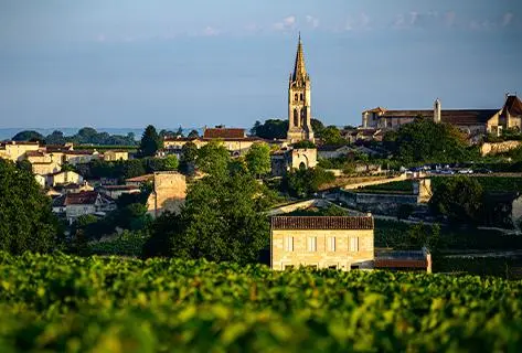 Château Pavie Macquin - 4