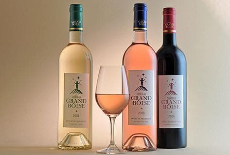 Château Grand Boise - 4