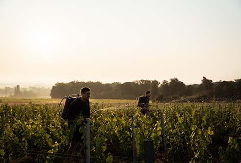 Domaine Les Garçons - 3