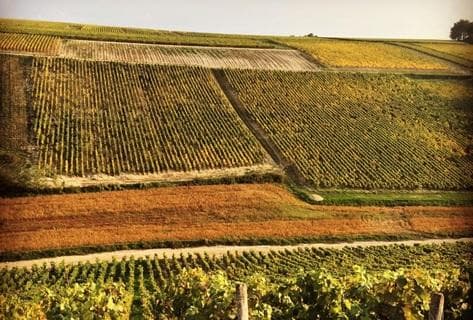 Château de Béru - 4