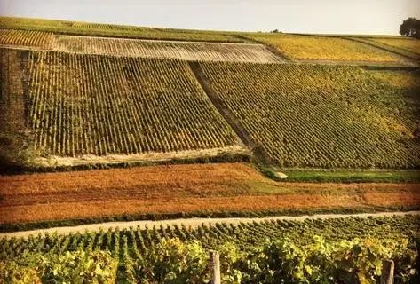 Château de Béru - 4