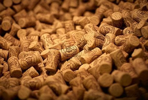 Foto des Partnerweinguts Louis Latour