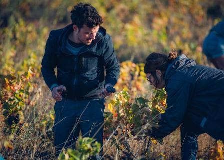Photo of partner producer Clos Sauvage
