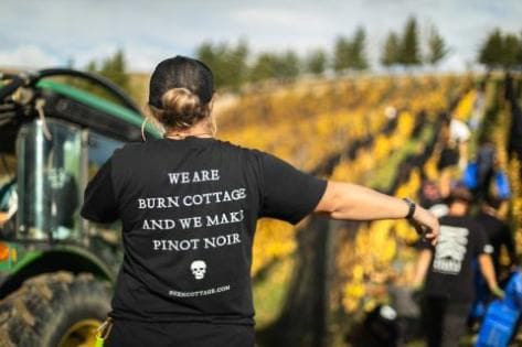 Foto della tenuta - Burn Cottage Vineyard