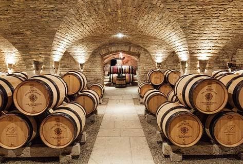 Vincent Bouzereau - 3