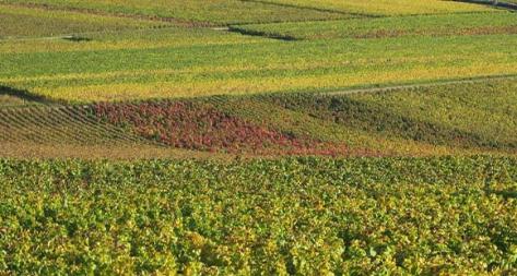 Photo principale du domaine
