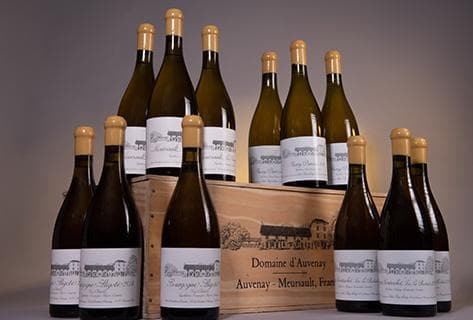 Foto della tenuta - Domaine d'Auvenay